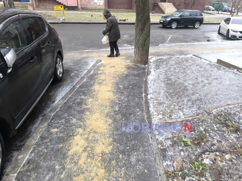 Гололед в Николаеве: количество пациентов травмпункта увеличилось на треть, пешеходы идут по дорогам (фото)
