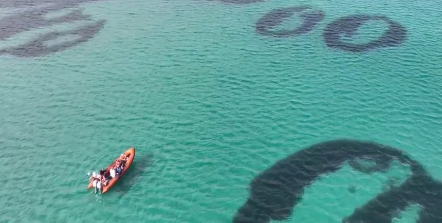 Вчені зафіксували «чарівні кола» у Шотландії майже через 100 років (відео)