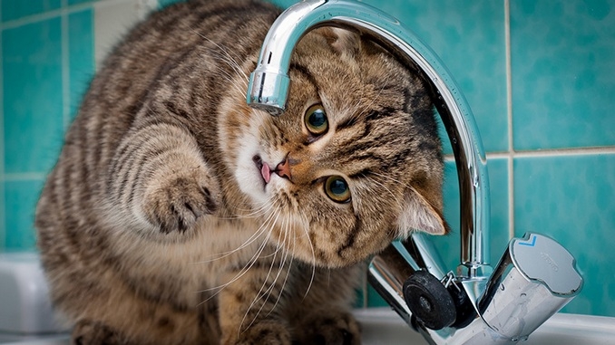 Часть Лесков в Николаеве осталась без воды