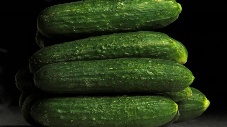 В Украине подорожали тепличные огурцы