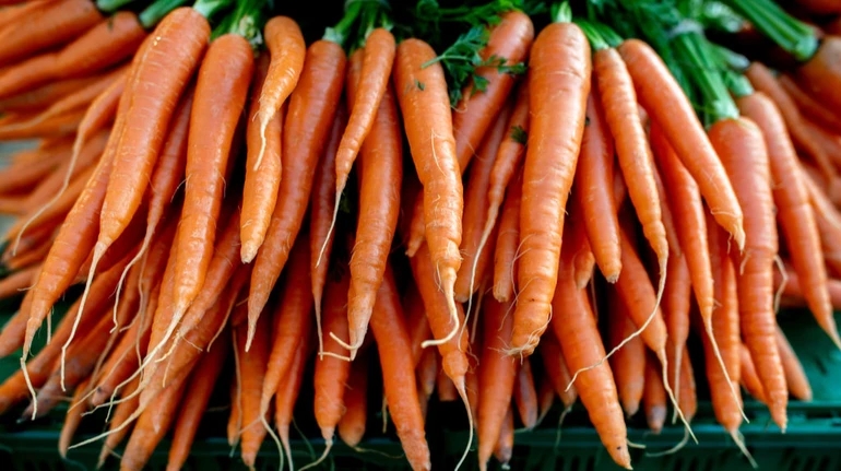 Морковь в Украине продолжает дорожать