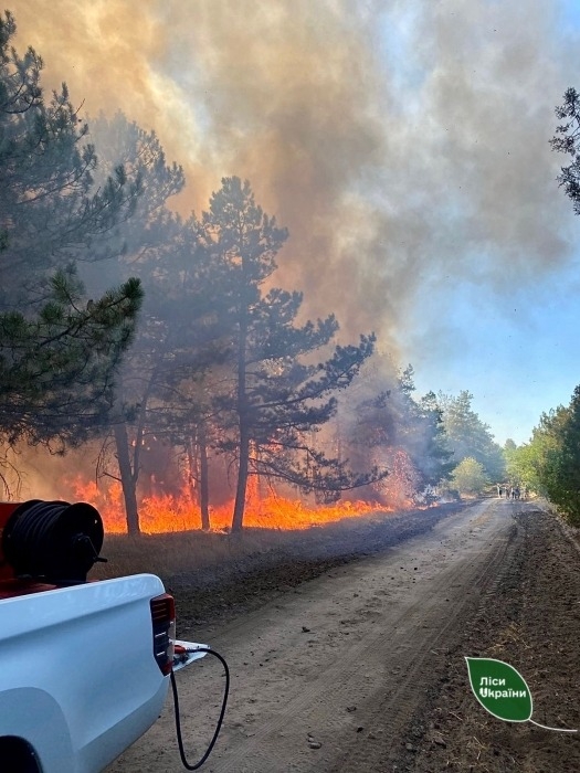 Более 80 тысяч тонн загрязняющих веществ попало в атмосферу из-за пожаров в Николаеве и области в 2025 году