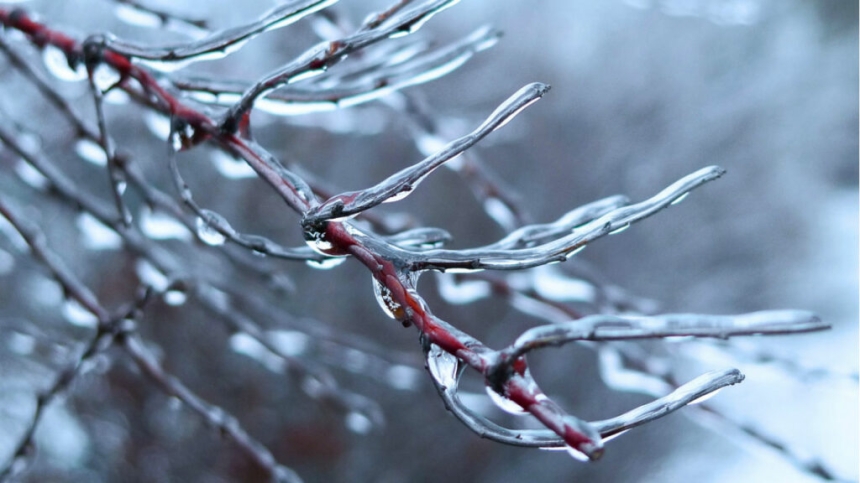 Дощ та ожеледиця: миколаївців закликають бути обережними - у місті погіршується погода