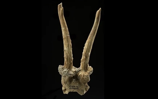 Шаманський головний убір кам'яної доби знайшли в Німеччині