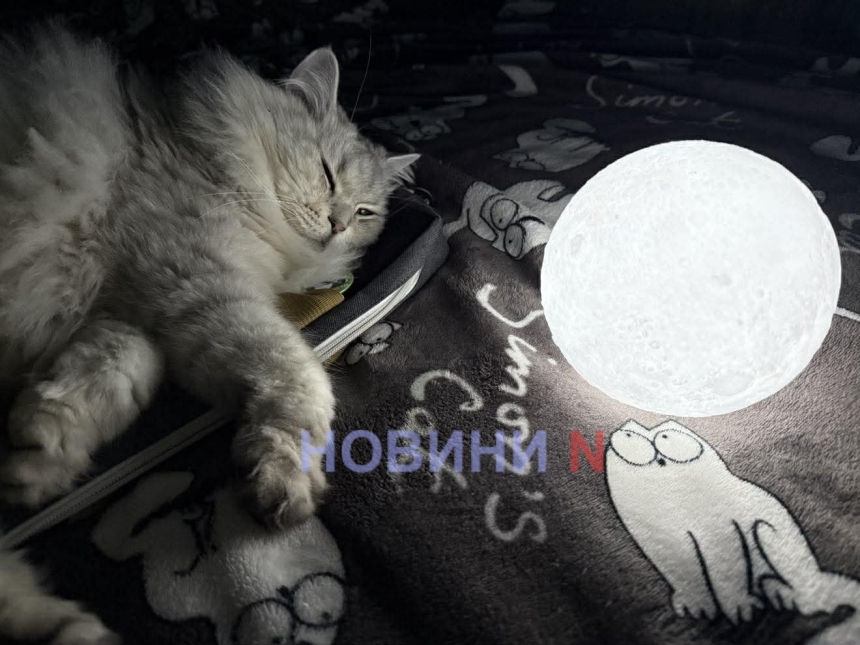 Опубликован предварительный график отключений света на 8 февраля в Николаевской области