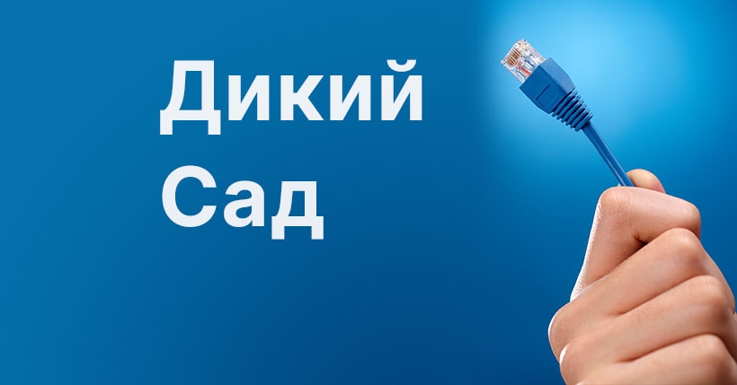 В Николаеве возникли перебои с интернетом провайдера «Дикий сад»