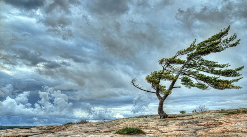 В Николаевской области объявили штормовое предупреждение
