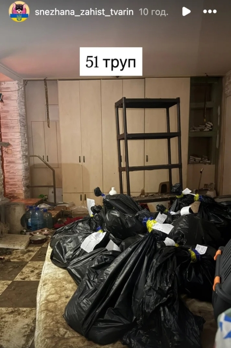 Замучила 51 кота: волонтерку будут судить за гибель животных в Киевской области