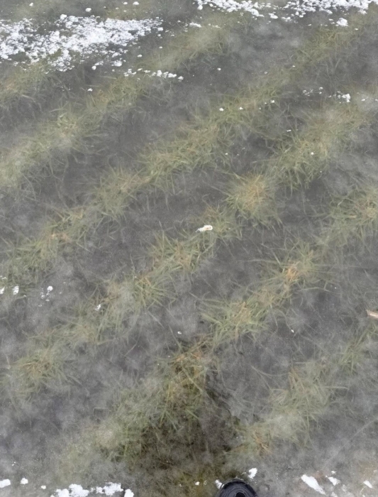 Поля на Миколаївщині перетворилися на замерзлі озера (фото)