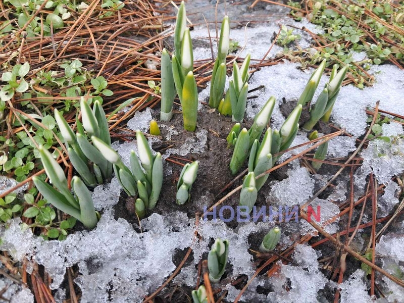 Гололед и мороз ночью: синоптики рассказали о погоде в Николаеве и области 21 февраля