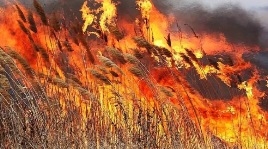 На Южном Буге пожар – горят заросли камыша (видео)