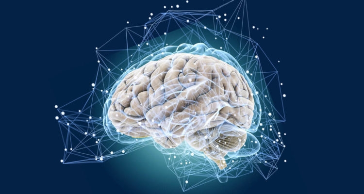 Нейробиолог назвал пять вещей для сохранения здоровья мозга