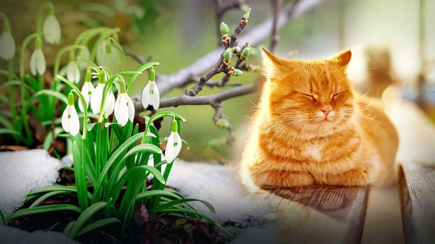 Синоптики розповіли, якою буде погода у Миколаєві та області на стику зими та весни