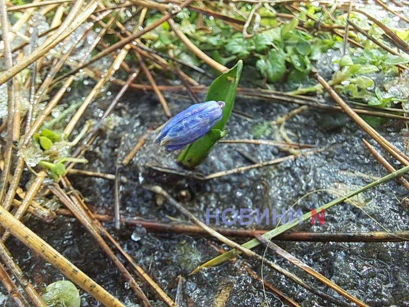 Синоптики рассказали о погоде в Николаеве и области в первый день весны