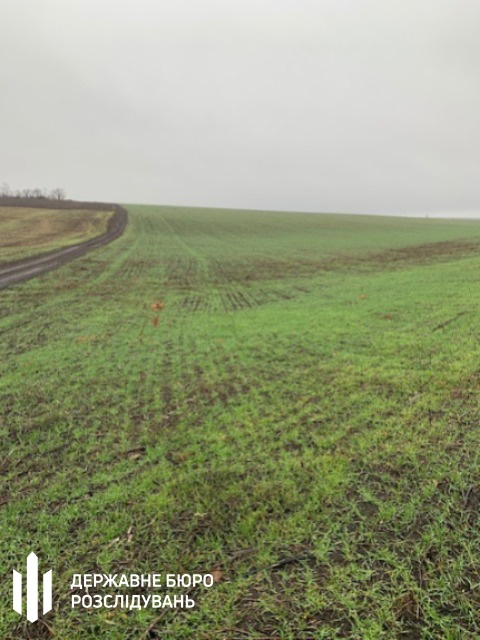 Экс-директор лесхоза в Николаевской области отдал лес под посевы — его будут судить