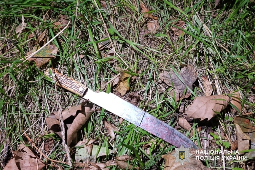 Справа братовбивці: суд виніс вирок обвинуваченому в Миколаєві