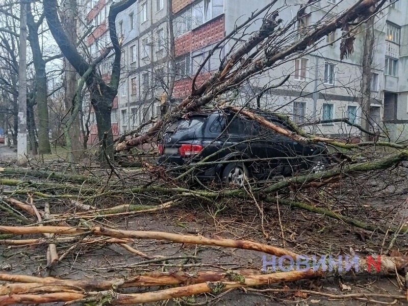 В Николаеве и области в ближайшие часы ожидается сильный северный ветер. Фото из архива "Новостей-N"