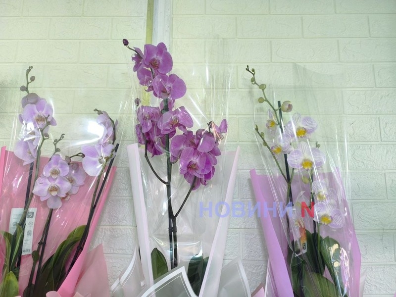 8 марта в Николаеве: на цветочных рынках ажиотаж (фоторепортаж)