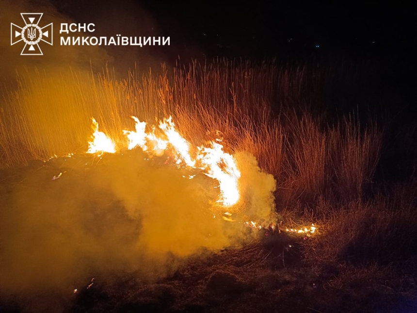 На Миколаївщині сталася пожежа біля цвинтаря