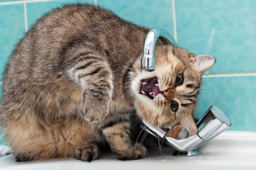 Десятки домов остались без воды в Николаеве (адреса)