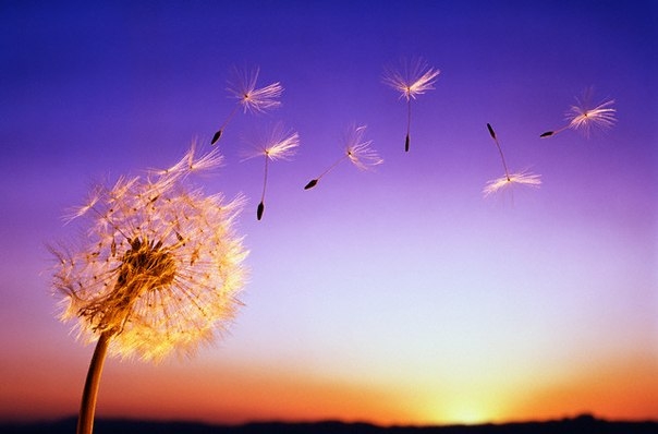 В Николаевской области объявлено штормовое предупреждение