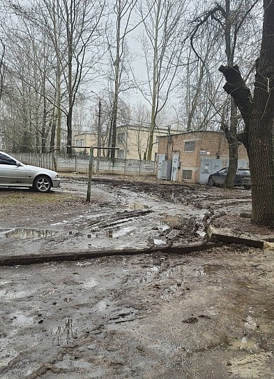 Штрафуют ли за парковку на газонах во дворах в Николаеве: ответ горсовета