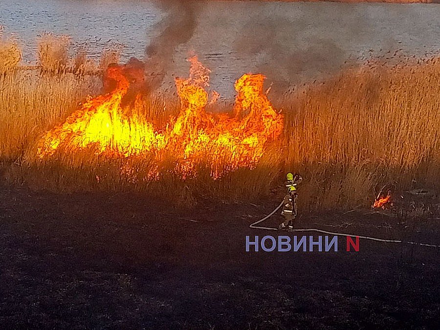 Масштабный пожар камыша в микрорайоне Аляуды в Николаеве: ущерб превысил 4,4 млн грн