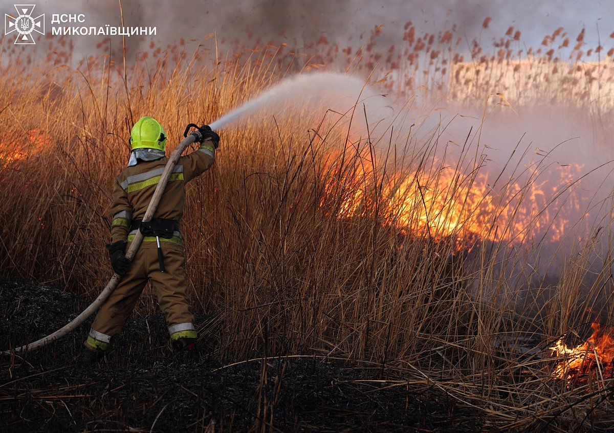 Знищено 4000 кв. м: у Миколаївській області горів очерет та суха трава