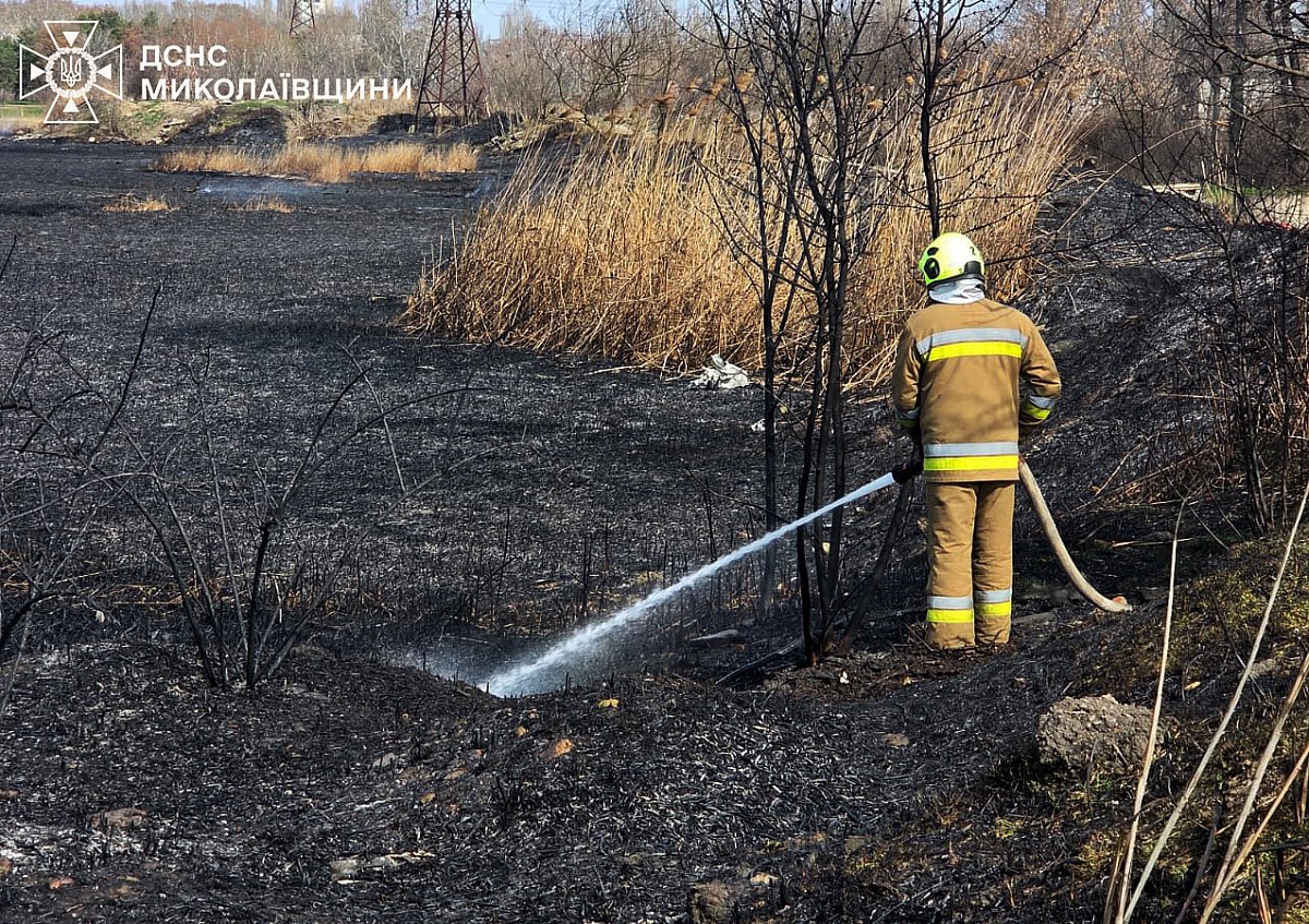 Пожар произошел в одном из парков Николаева 
