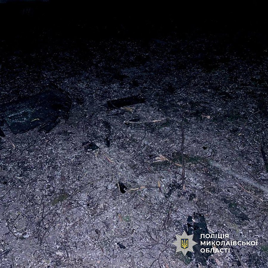 Падіння «Шахеда» та постраждалі діти: поліція показала фото наслідків у Миколаївському районі