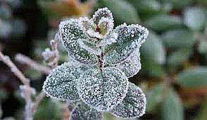 На Україну насувається похолодання та заморозки