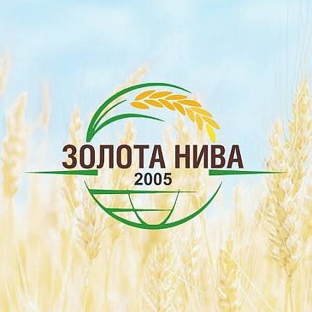 В Николаеве стартовал всеукраинский чемпионат по бильярду: призовой фонд - самый большой в истории (трансляция)