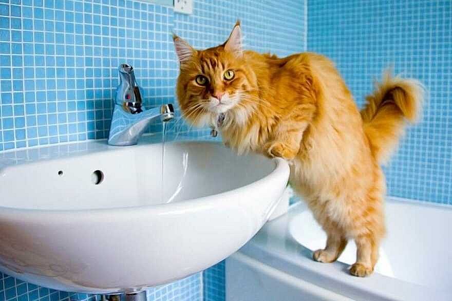 Где в Николаеве сегодня нет воды (адреса)