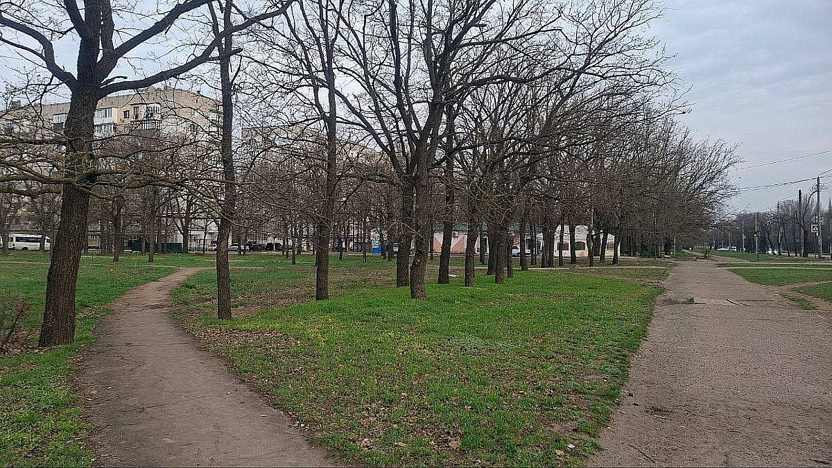 «Жодних рішень про вирубку дубів немає і не було», - мер Миколаєва про скандальне будівництво АЗС