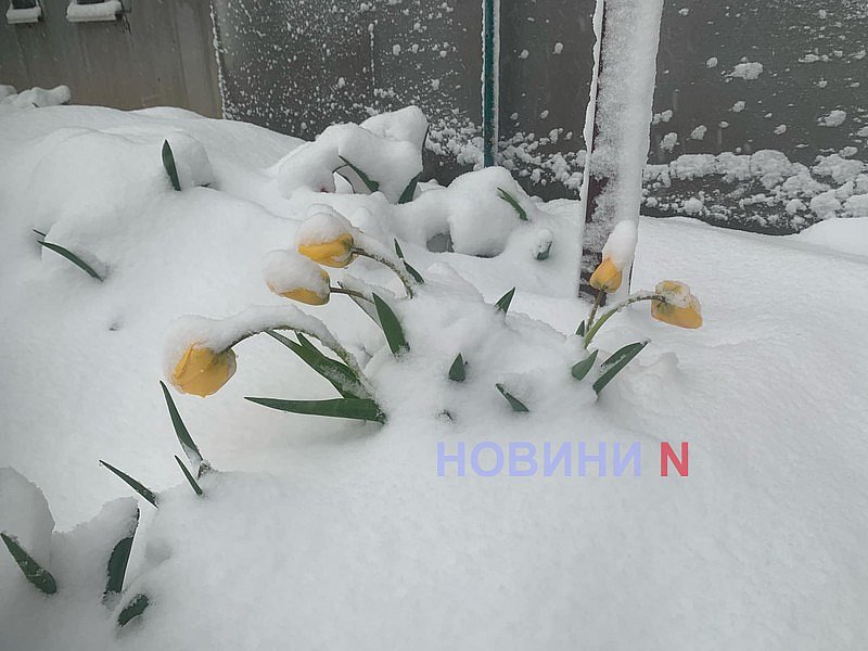 Фото ілюстраційне, з архіву Новин-N