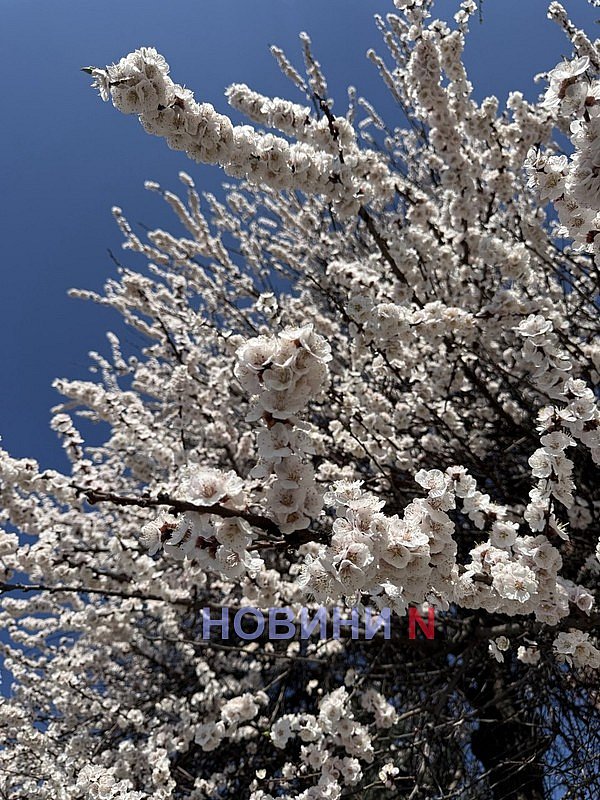 Вночі -3 та сніг, а вдень +13: яка погода буде у Миколаївській області у п'ятницю