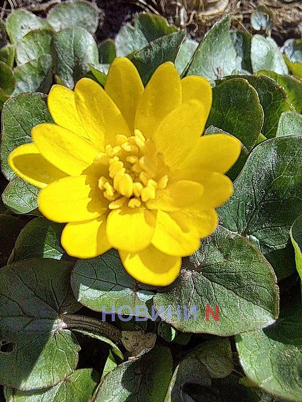 Синоптики рассказали, какой будет погода в Николаеве и области в субботу