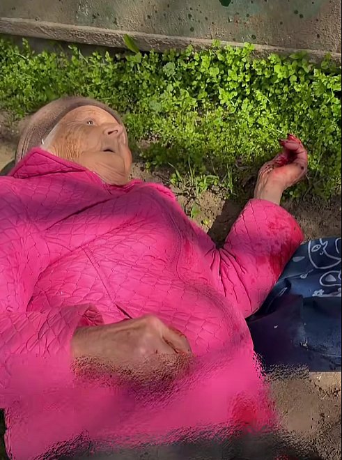 Несмотря на «Пасхальное перемирие» враг атаковал Херсон (видео 18+)