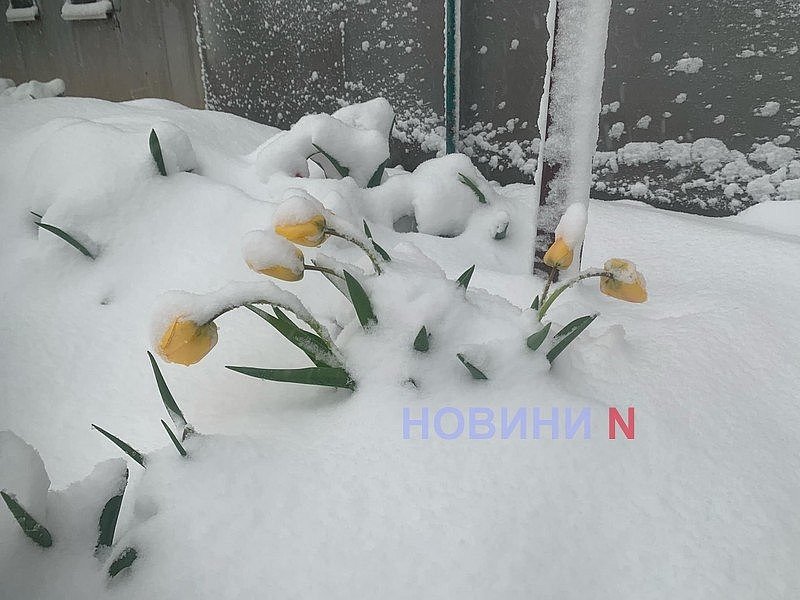 Град, морозы, 172% нормы осадков и +25°: апрель в Николаеве и области был с «температурными качелями»