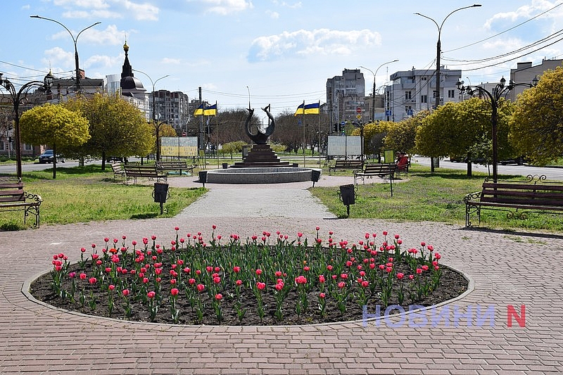 Квітучий Миколаїв: у скверах міста розцвіли тюльпани (фоторепортаж)