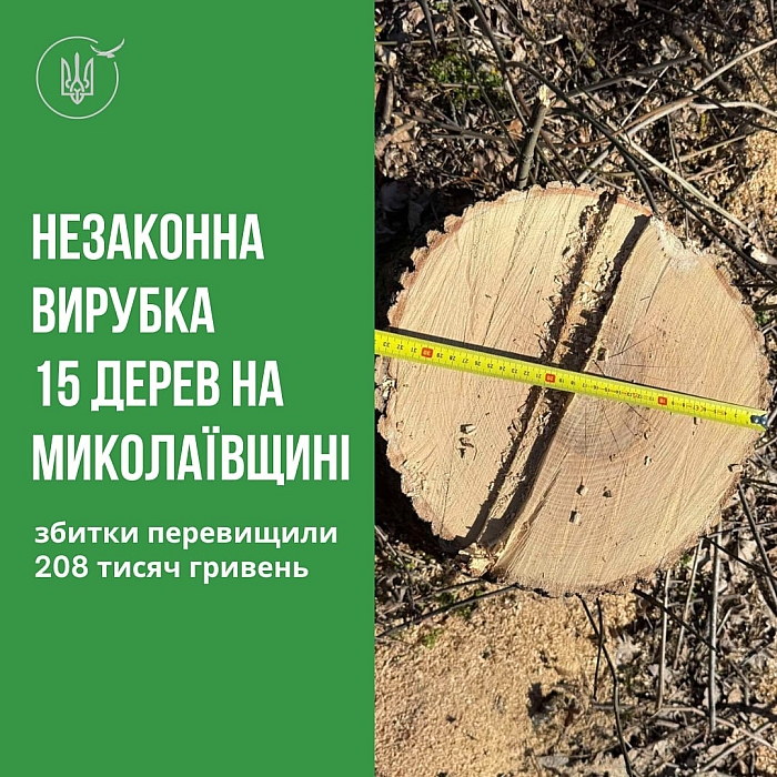 У лісосмузі під Первомайськом спиляли дерева: збитки оцінили у 208 тис. гривень