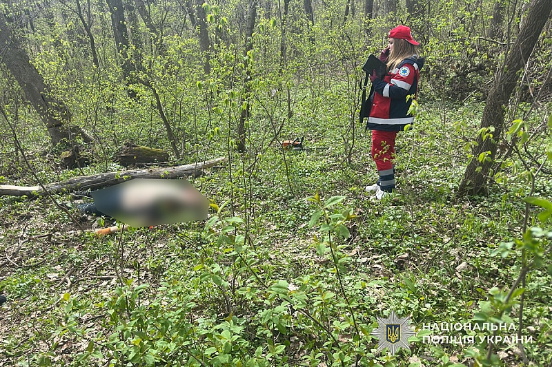 Мешканця Тернопільщини вбило деревом, яке він пиляв