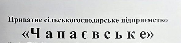 Открытый чемпионат Николаевской области по ММА: в поединках сойдутся лучшие бойцы