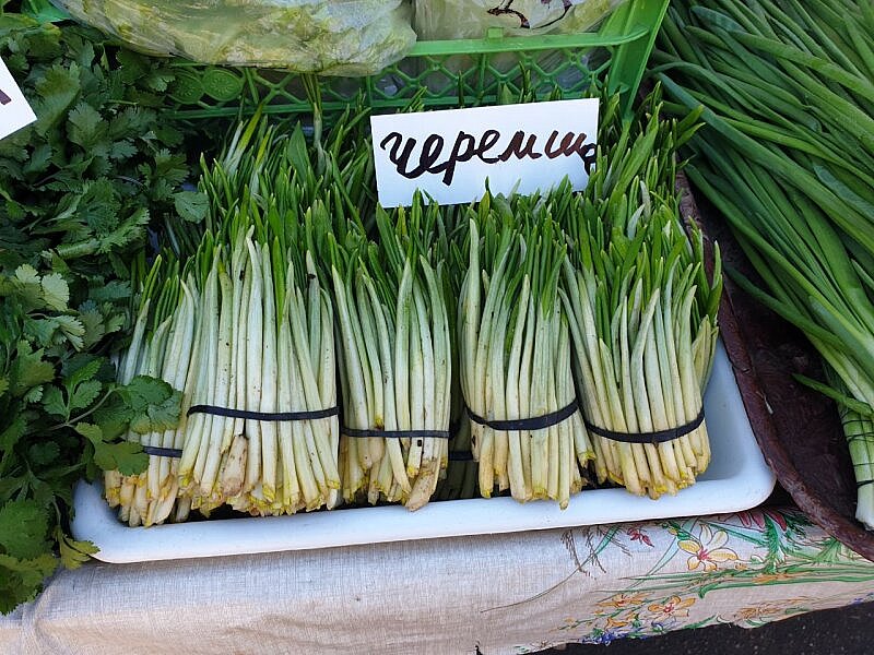 Врач умер, отравившись неизвестным растением во Львове