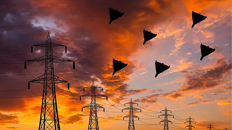 Фото ілюстраційне