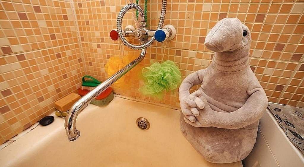 В Николаеве целая улица осталась без воды