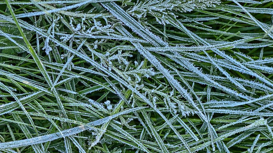 Синоптики предупредили о заморозках в Украине