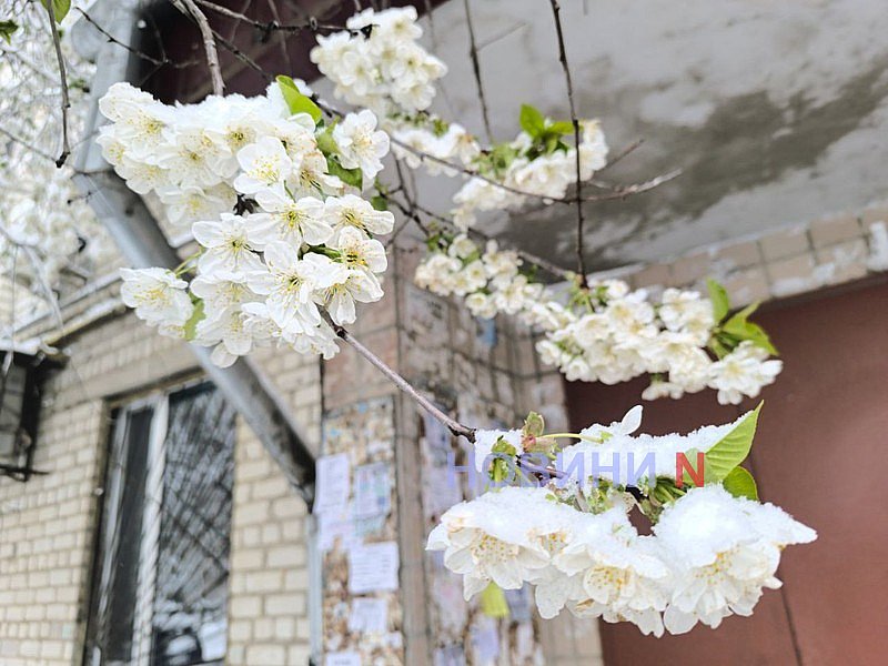 Сильные заморозки в воздухе обещают синоптики завтра в Николаеве и области
