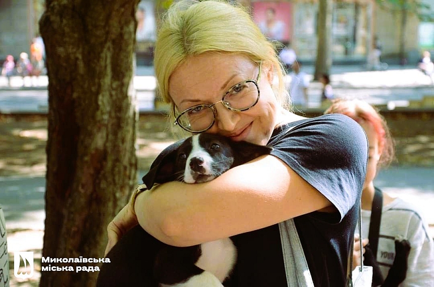 В Николаеве бездомным животным будут искать хозяев