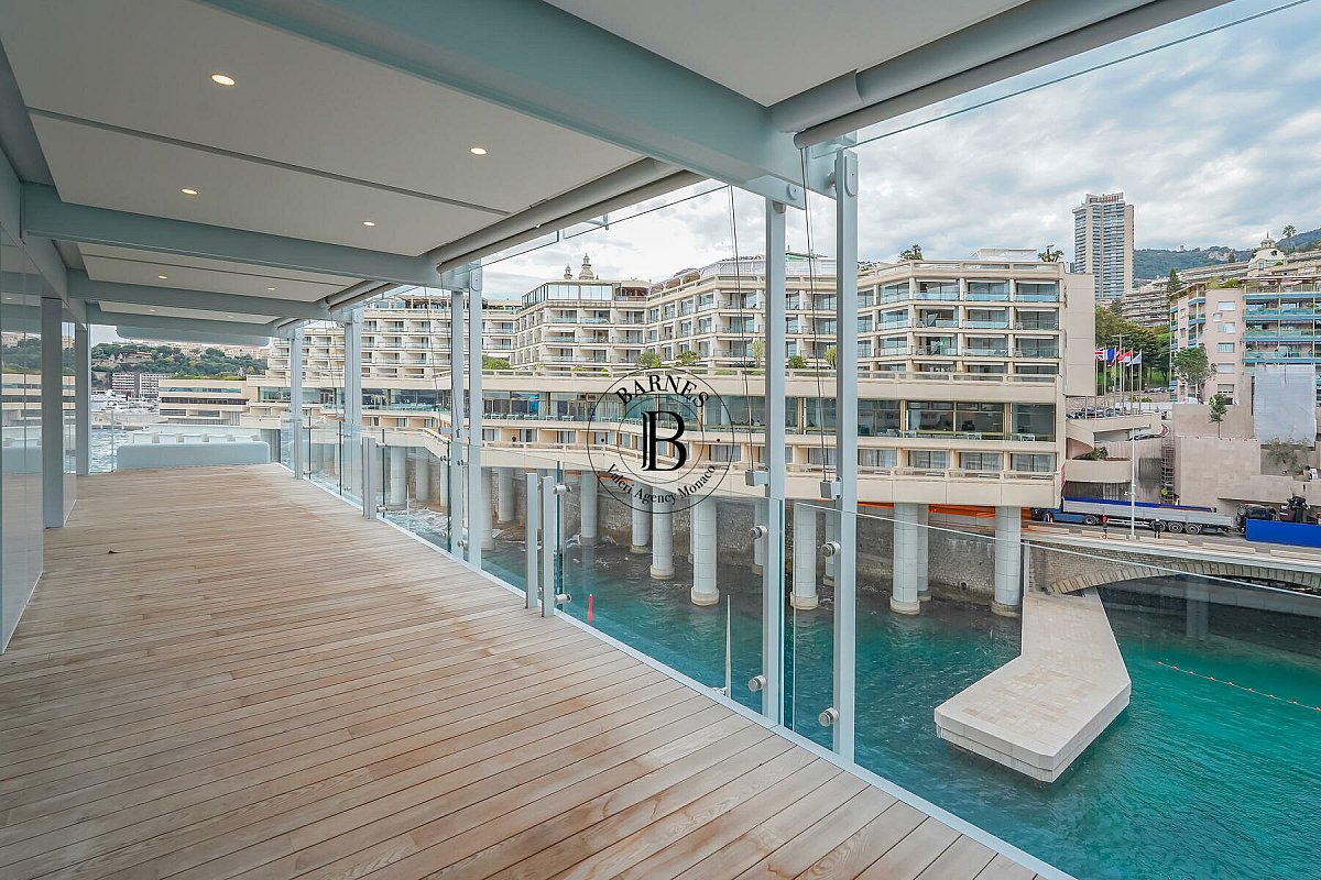 Ахметов купил 21-комнатную квартиру за полмиллиарда долларов в Монако